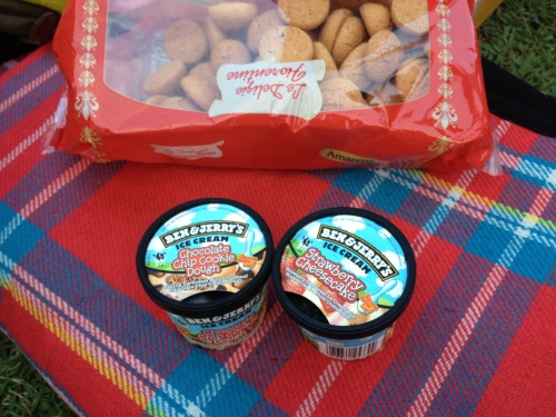 Ben and Jerry's ice cream, a picnic blanket and biscuits...
